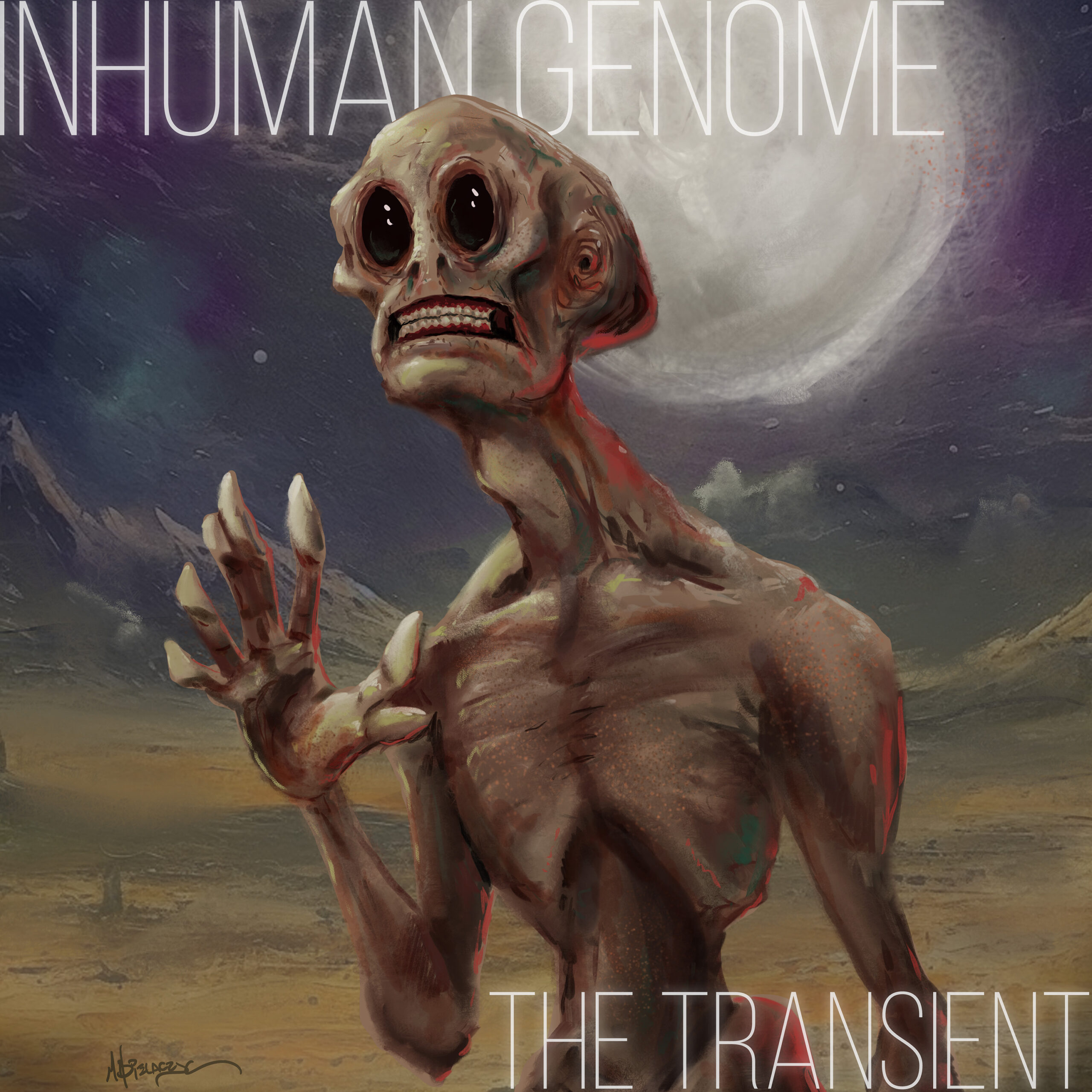 The Transient cover